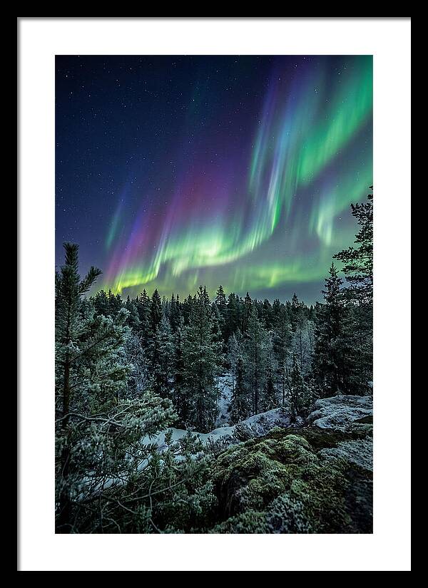 Aurora Over Finnish Forest