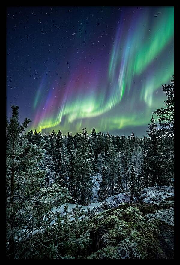 Aurora Over Finnish Forest