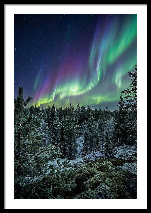 Aurora Over Finnish Forest