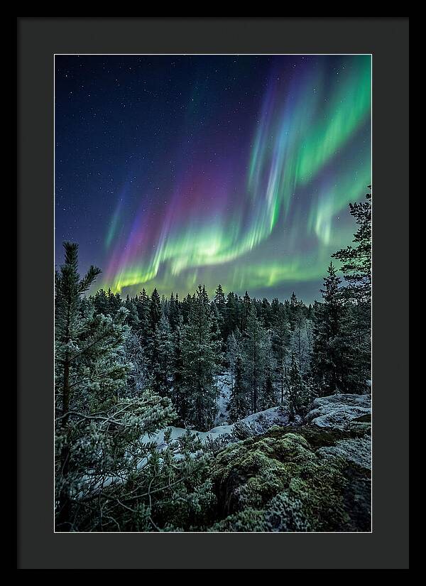 Aurora Over Finnish Forest