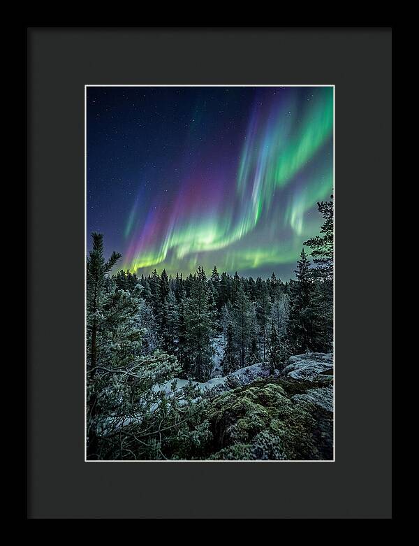 Aurora Over Finnish Forest