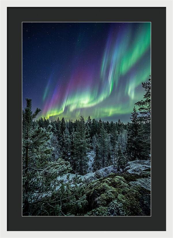 Aurora Over Finnish Forest