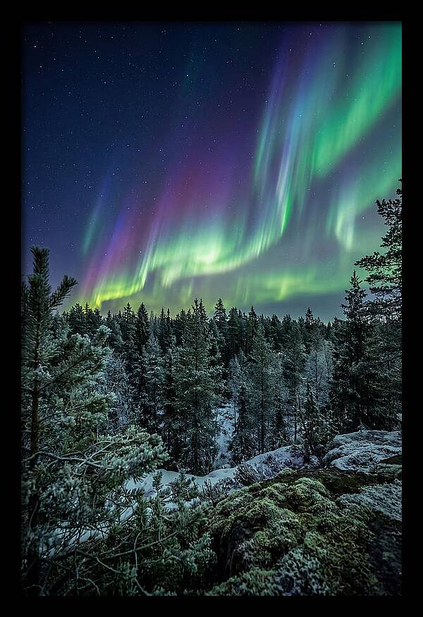 Aurora Over Finnish Forest