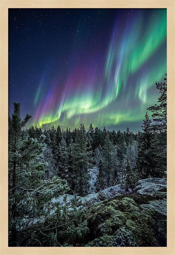 Aurora Over Finnish Forest