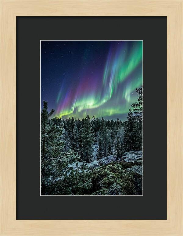 Aurora Over Finnish Forest