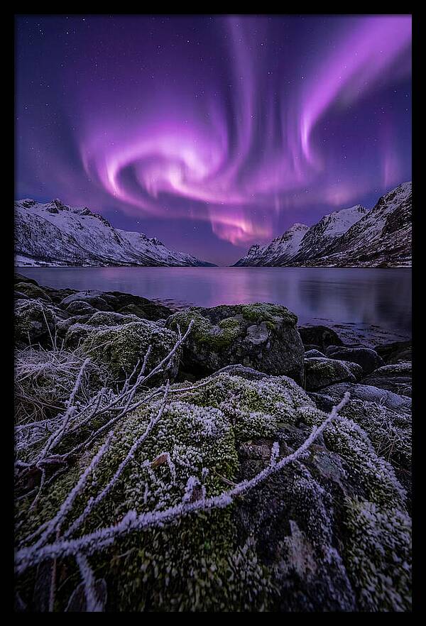 Aurora Over Norwegian Fjord