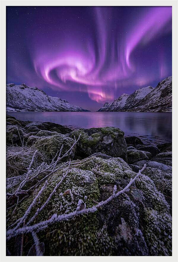 Aurora Over Norwegian Fjord