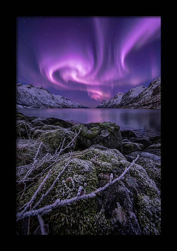 Aurora Over Norwegian Fjord