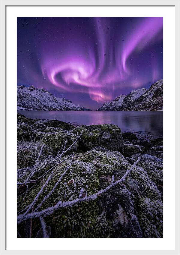 Aurora Over Norwegian Fjord
