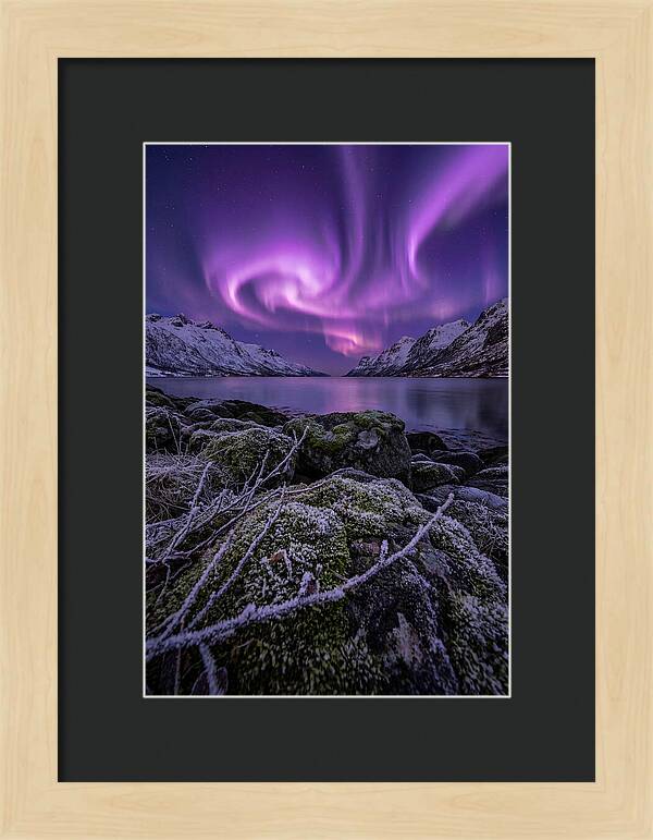 Aurora Over Norwegian Fjord