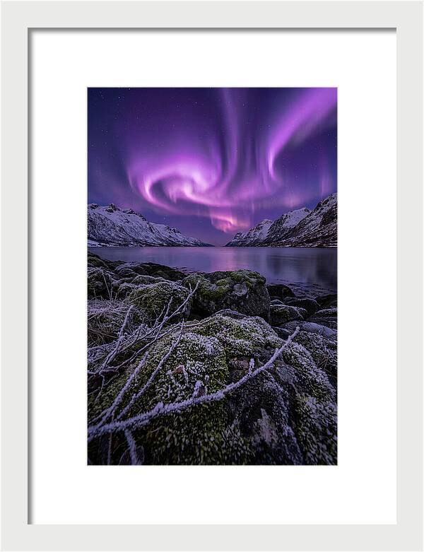 Aurora Over Norwegian Fjord