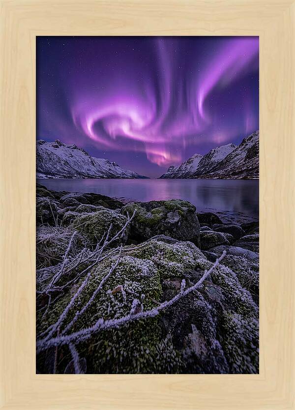 Aurora Over Norwegian Fjord