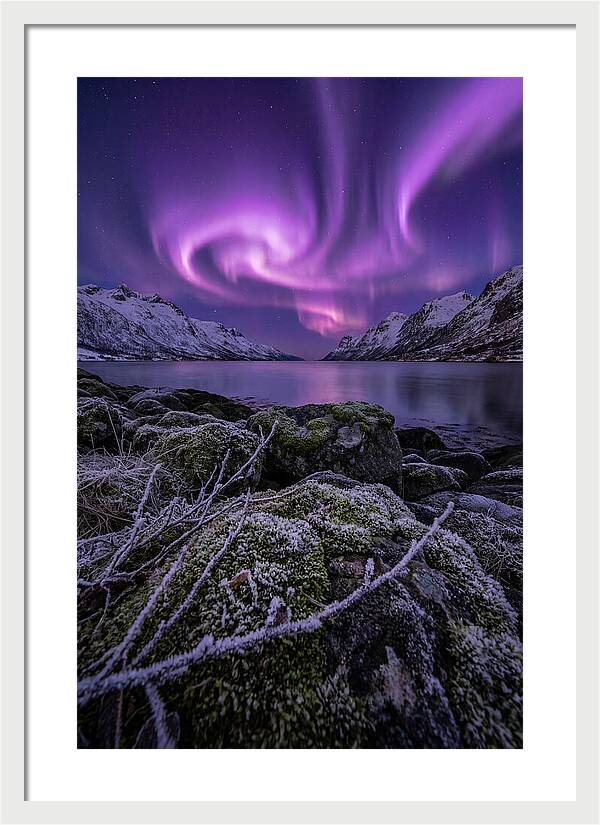 Aurora Over Norwegian Fjord