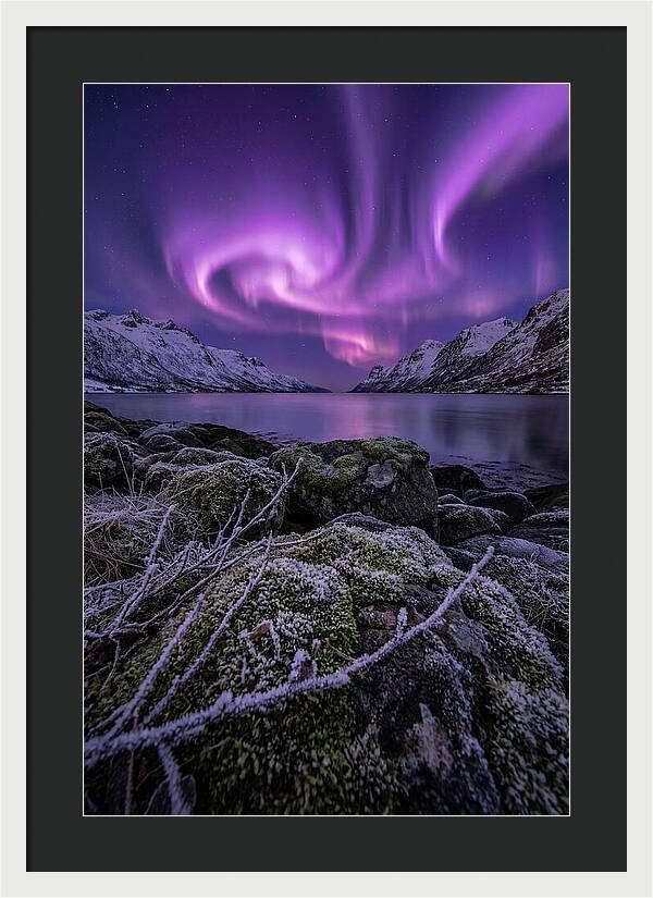 Aurora Over Norwegian Fjord