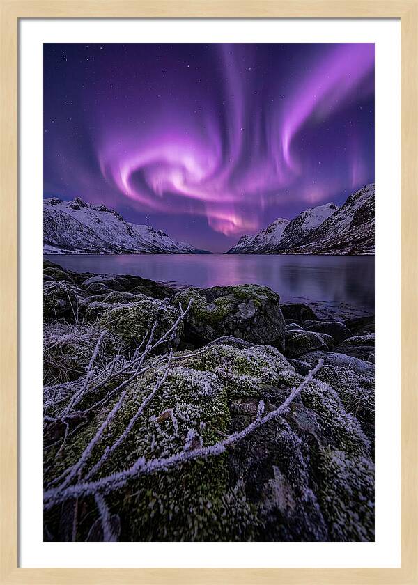 Aurora Over Norwegian Fjord