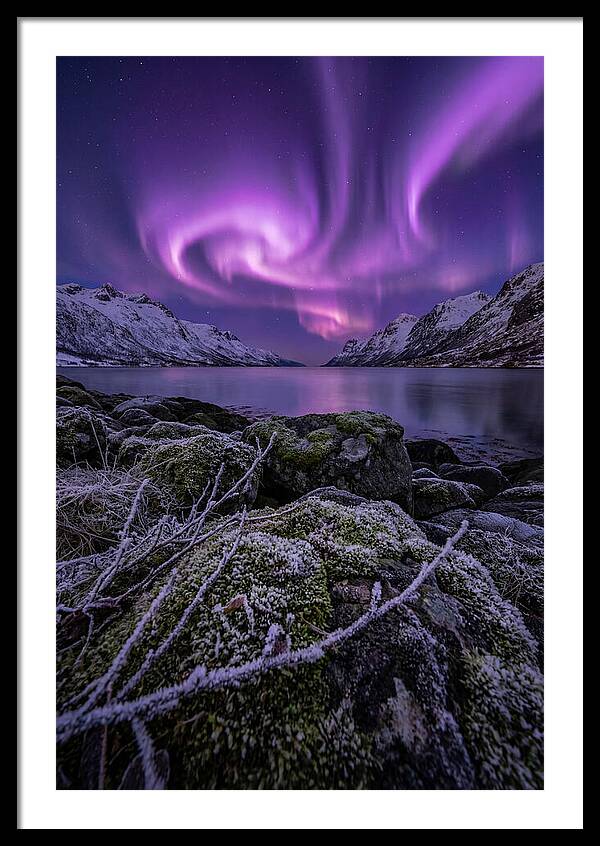 Aurora Over Norwegian Fjord