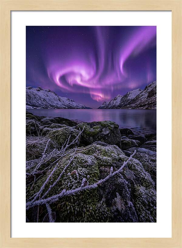 Aurora Over Norwegian Fjord