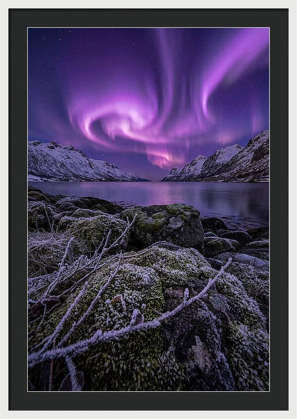 Aurora Over Norwegian Fjord