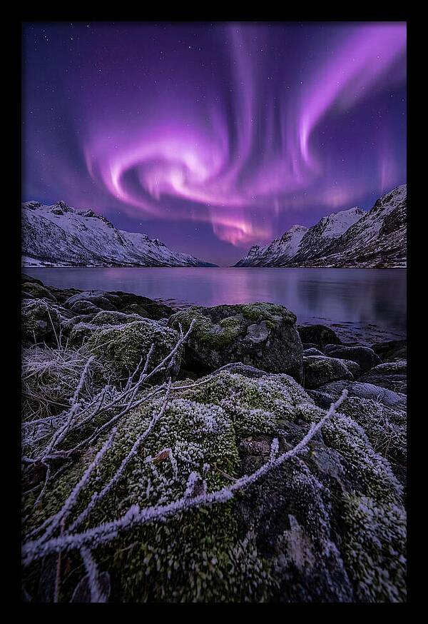 Aurora Over Norwegian Fjord