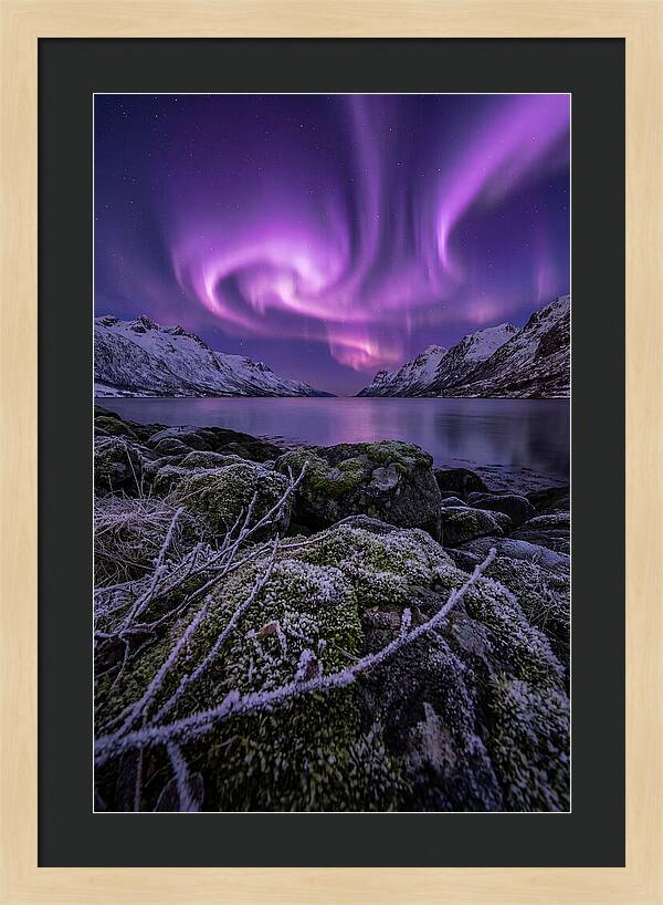 Aurora Over Norwegian Fjord