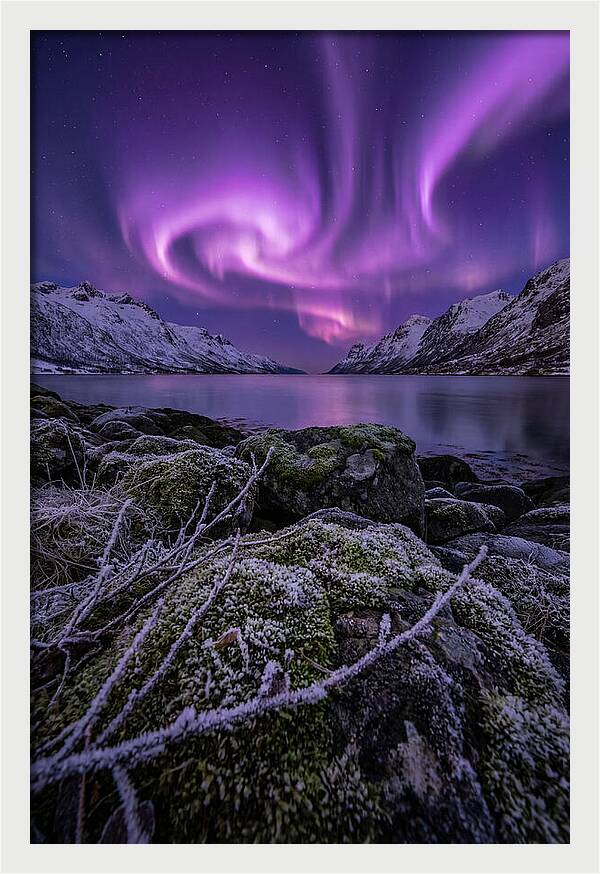 Aurora Over Norwegian Fjord