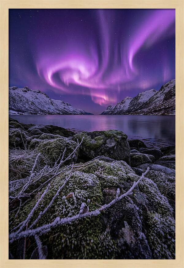 Aurora Over Norwegian Fjord