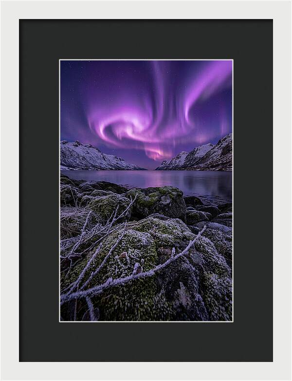 Aurora Over Norwegian Fjord
