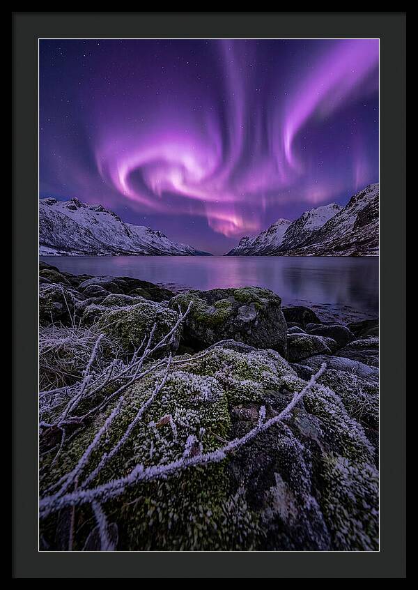 Aurora Over Norwegian Fjord