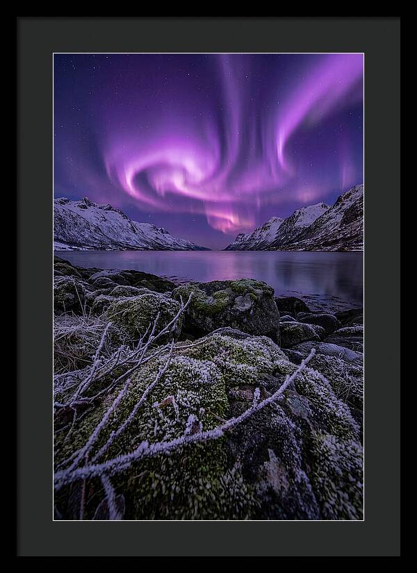 Aurora Over Norwegian Fjord