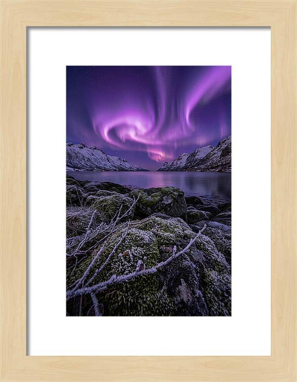 Aurora Over Norwegian Fjord