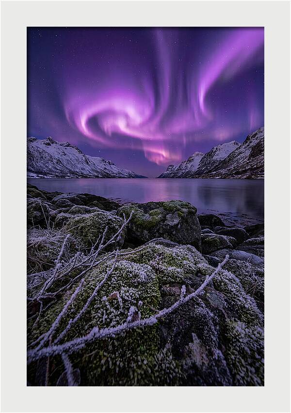Aurora Over Norwegian Fjord