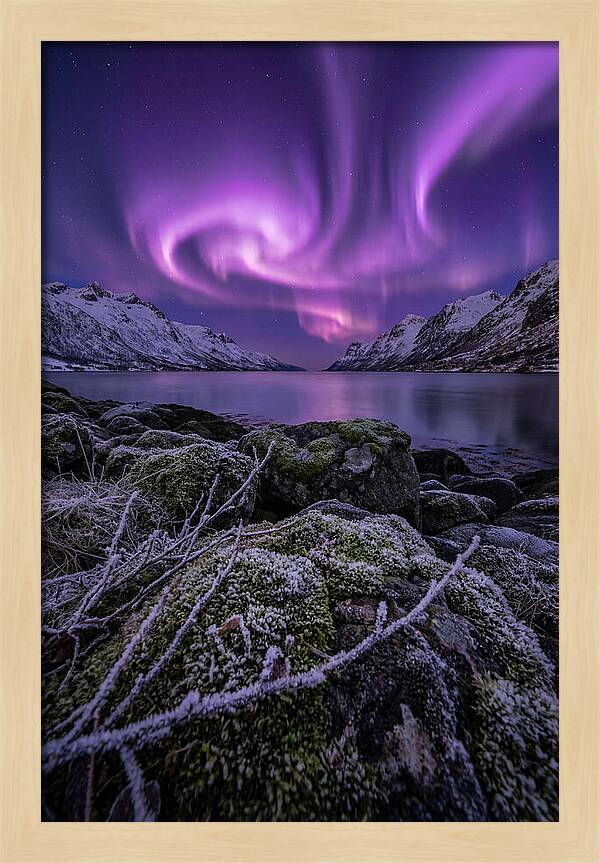 Aurora Over Norwegian Fjord