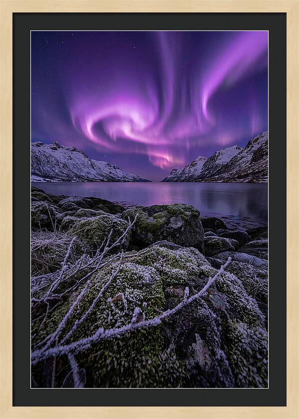 Aurora Over Norwegian Fjord