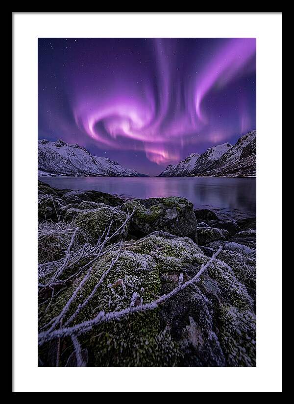 Aurora Over Norwegian Fjord