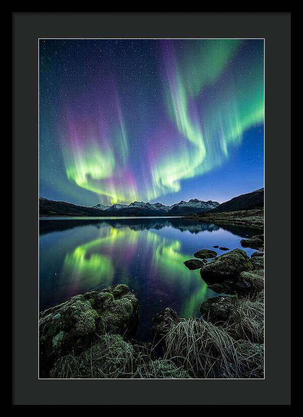 Aurora Over Tranquil Waters