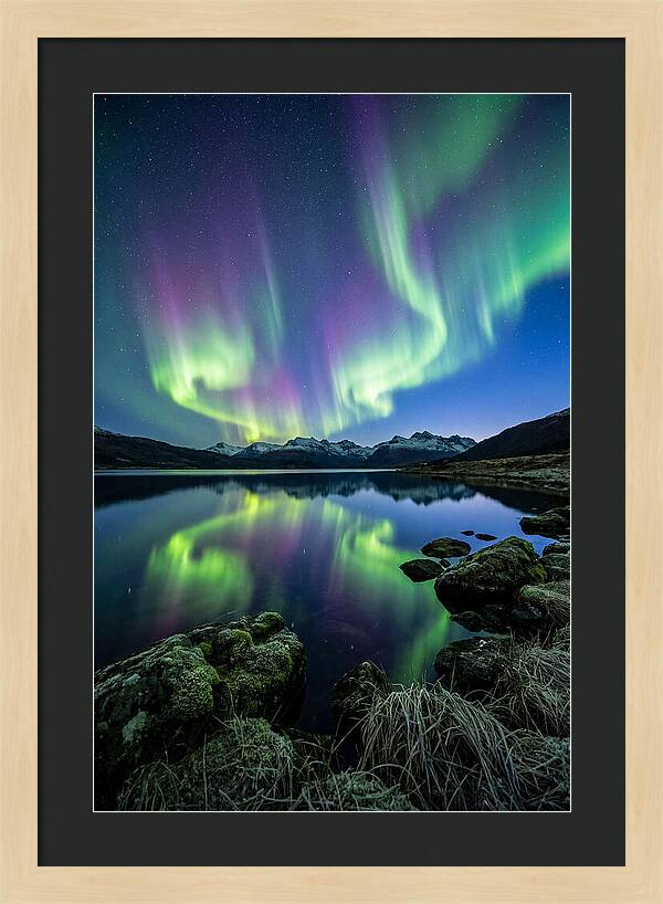 Aurora Over Tranquil Waters