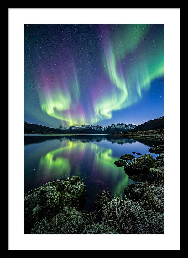 Aurora Over Tranquil Waters