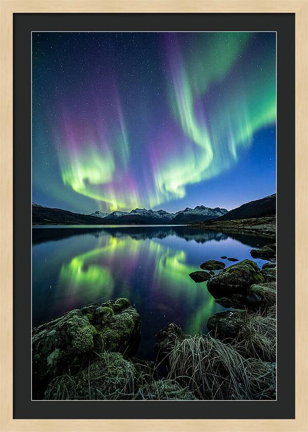 Aurora Over Tranquil Waters