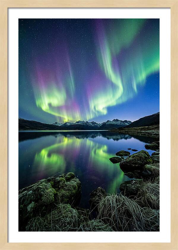Aurora Over Tranquil Waters