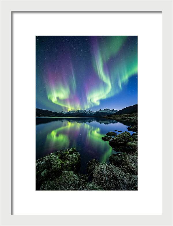 Aurora Over Tranquil Waters