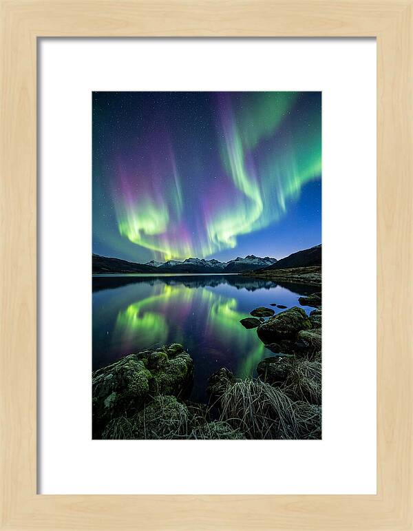 Aurora Over Tranquil Waters