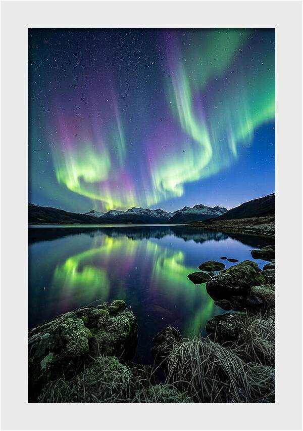 Aurora Over Tranquil Waters