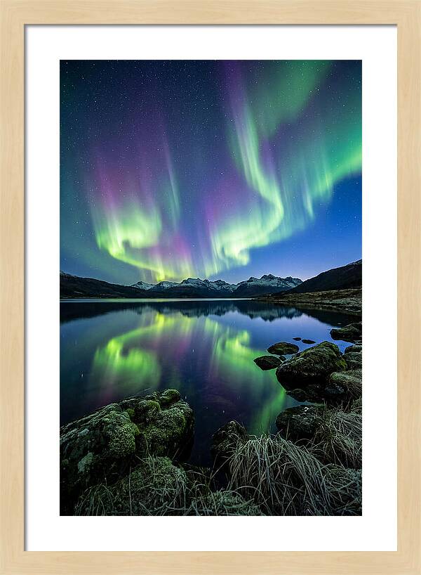 Aurora Over Tranquil Waters
