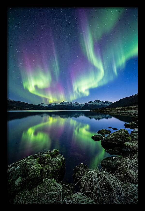 Aurora Over Tranquil Waters