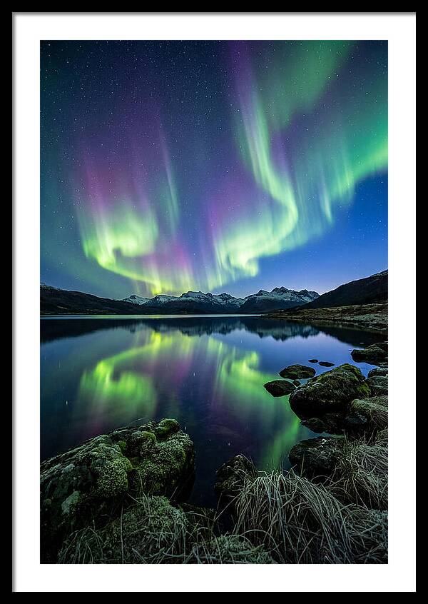 Aurora Over Tranquil Waters