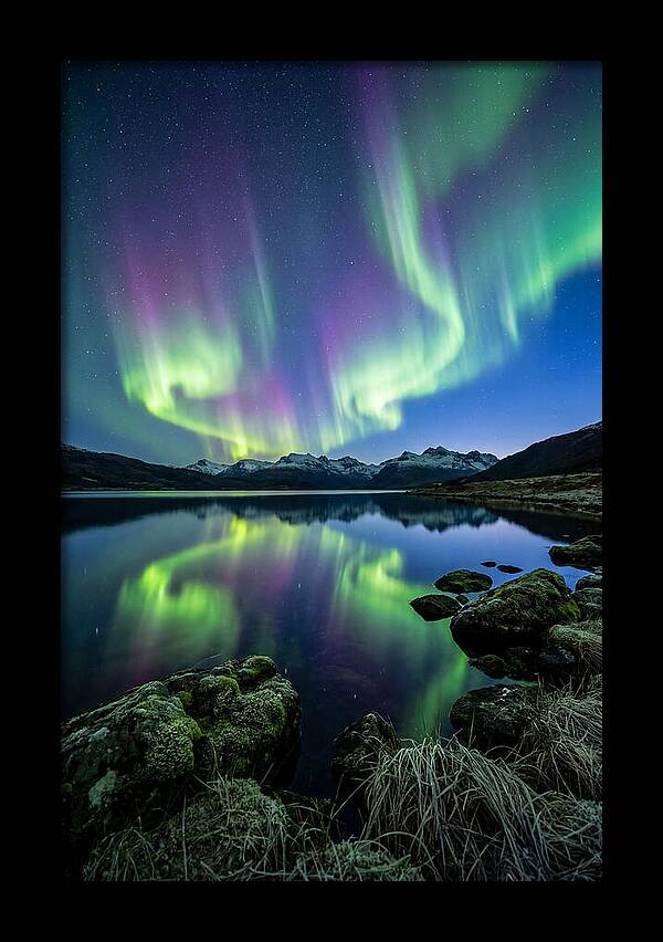 Aurora Over Tranquil Waters