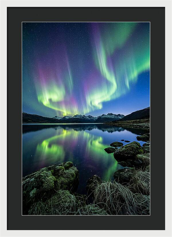 Aurora Over Tranquil Waters