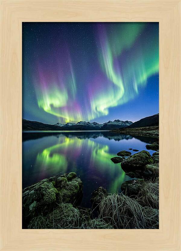 Aurora Over Tranquil Waters