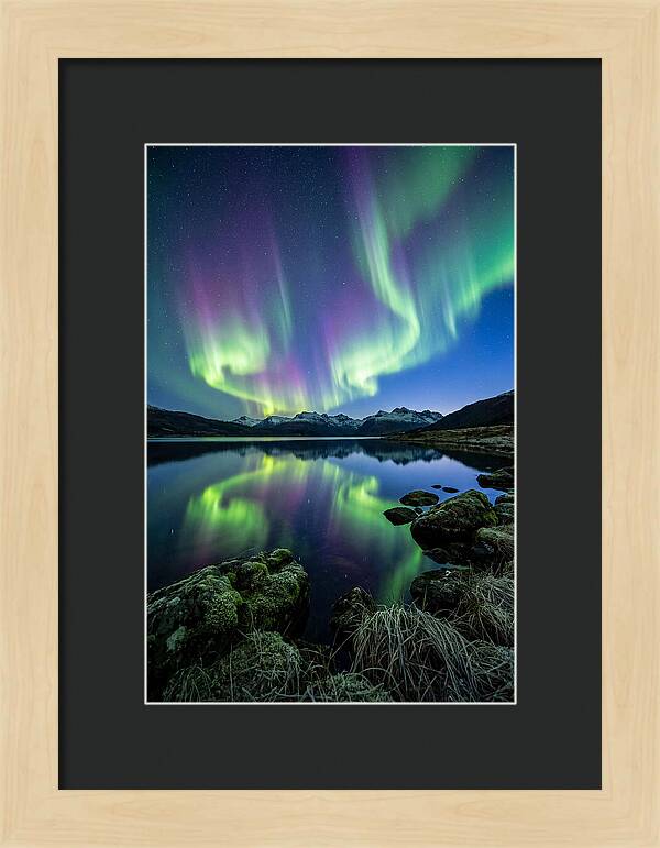 Aurora Over Tranquil Waters