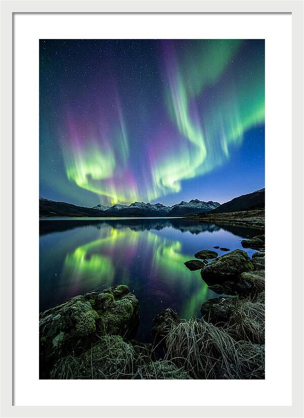 Aurora Over Tranquil Waters
